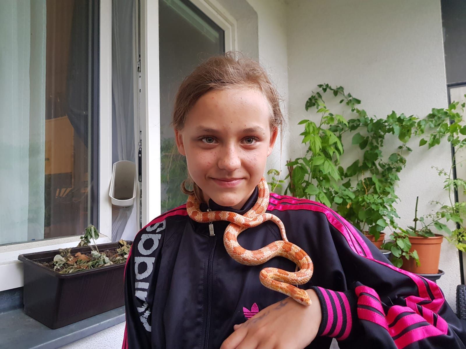 Leonie mit ihrer Kornnatter
