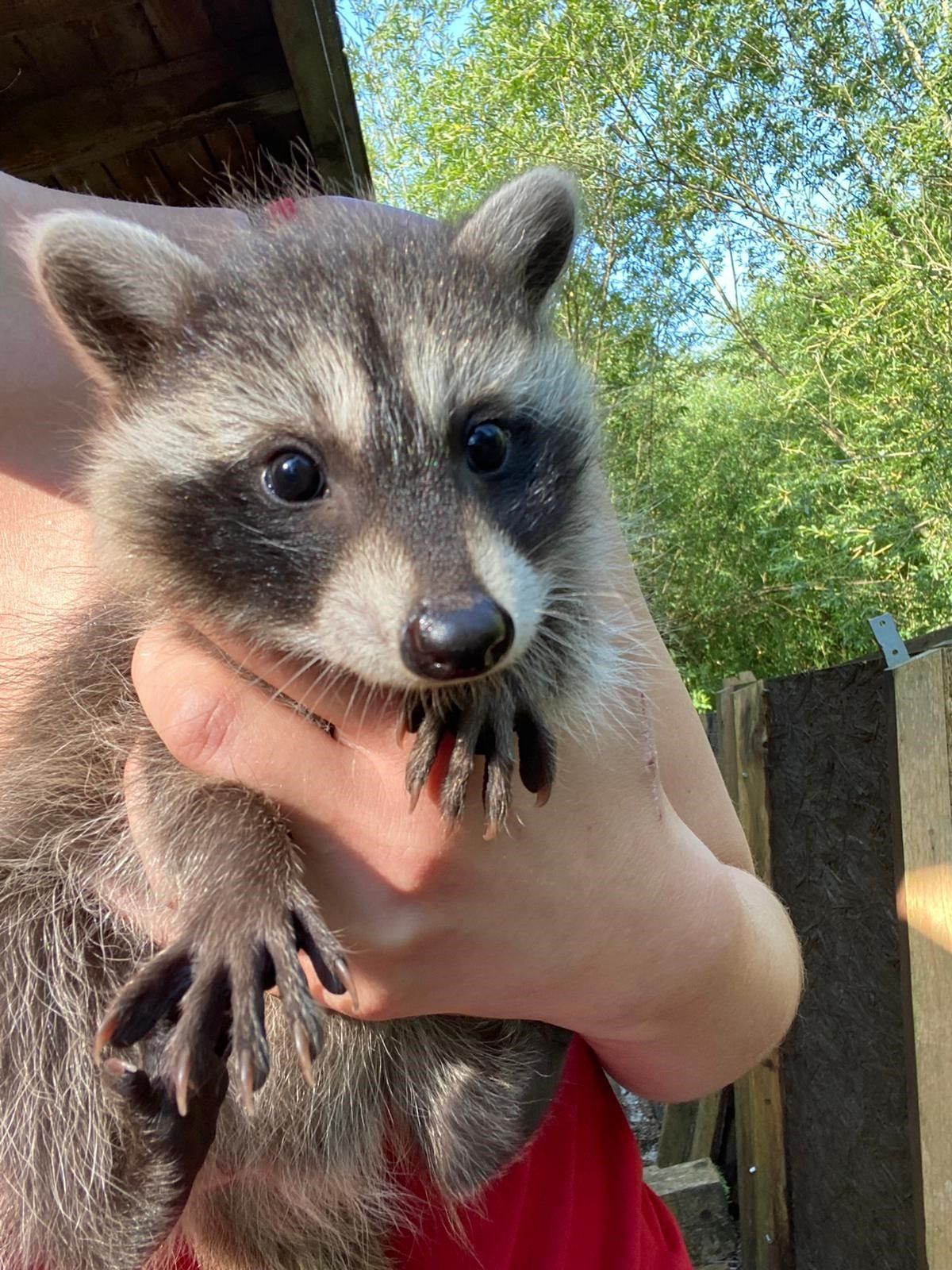 Die Fütterungen sind gut gebucht.