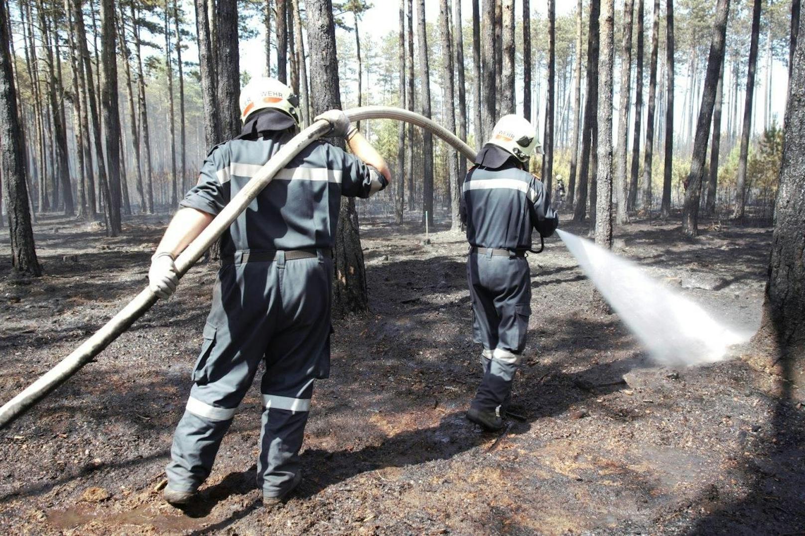 Ein Föhrenwald in St. Egyden brannte.