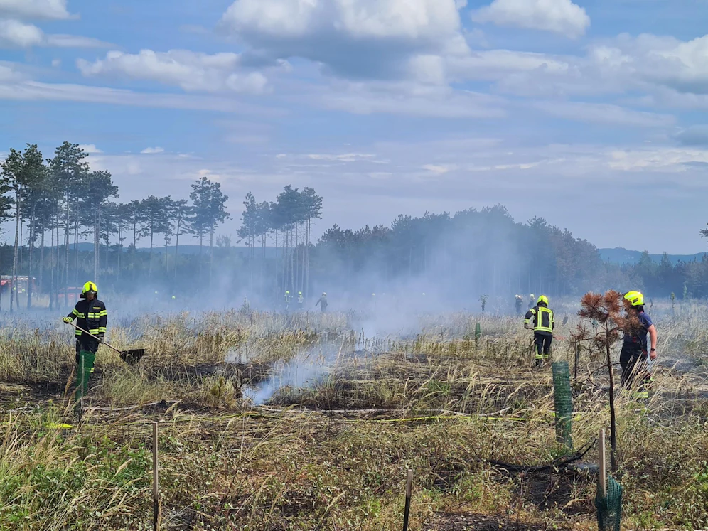 Brand im Föhrenwald im Bezirk Neunkirchen