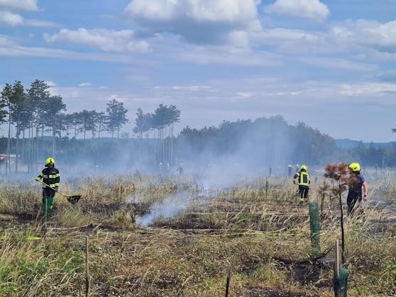 Brand im Föhrenwald im Bezirk Neunkirchen