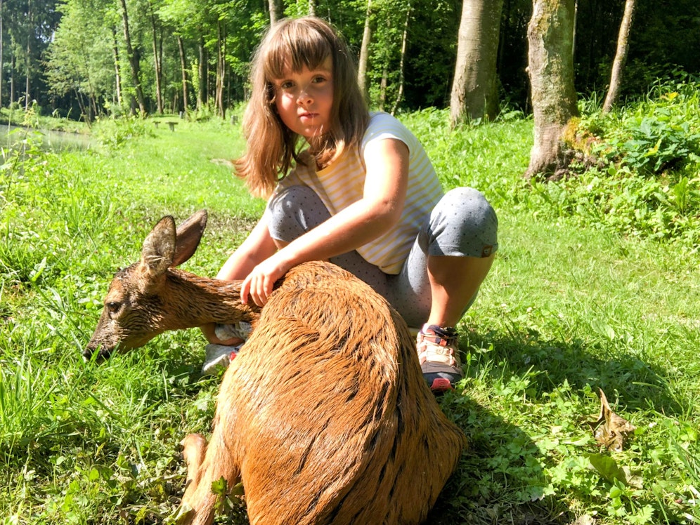 Die 8-jährige Leonie Berthold-Berger aus Aurolzmünster entdeckte das Reh im Teich, holte ihren Papa zu Hilfe.