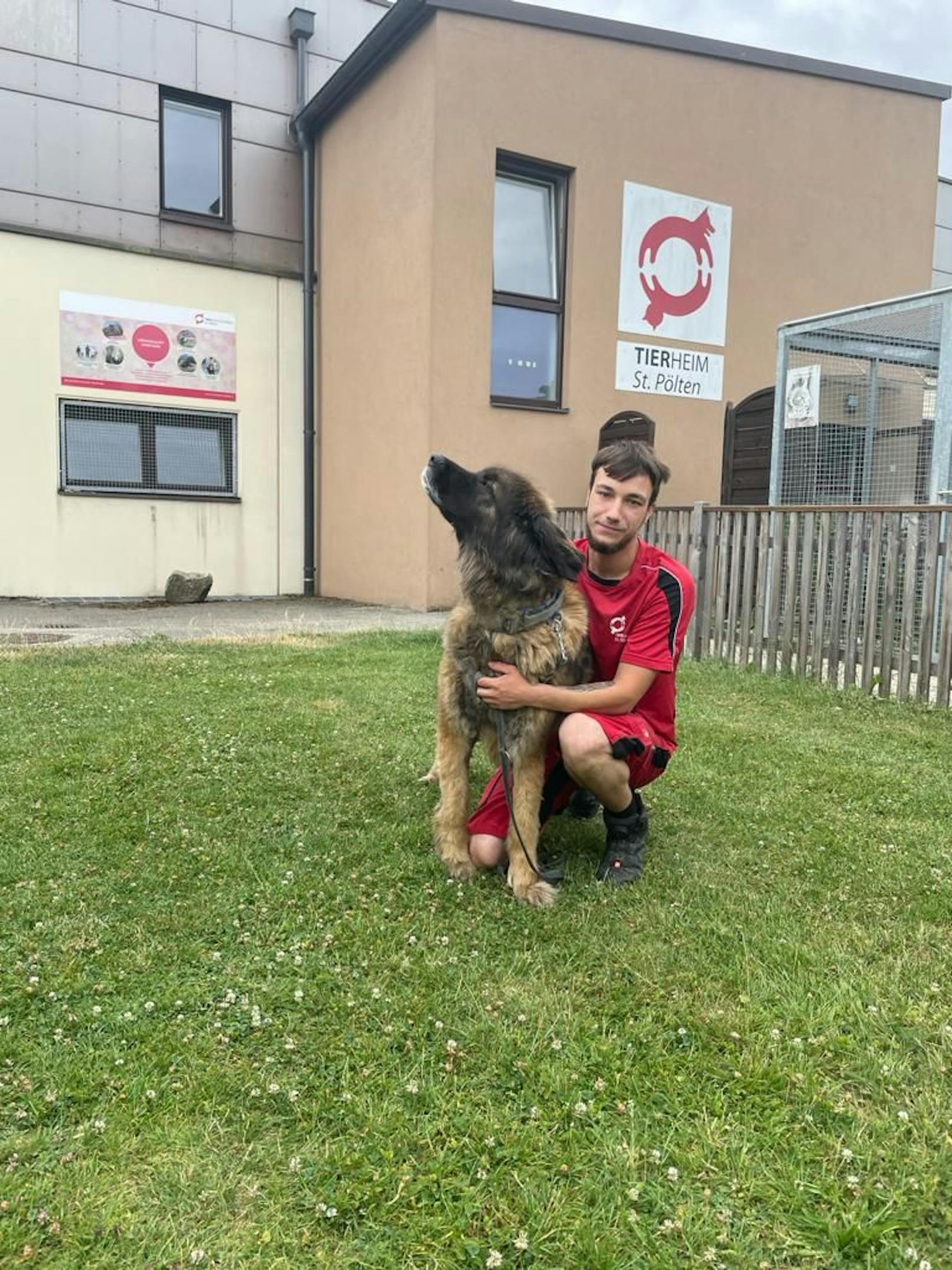 Pfleger Patrick mit einem Hund, der in Lebensgefahr war und gerettet wurde