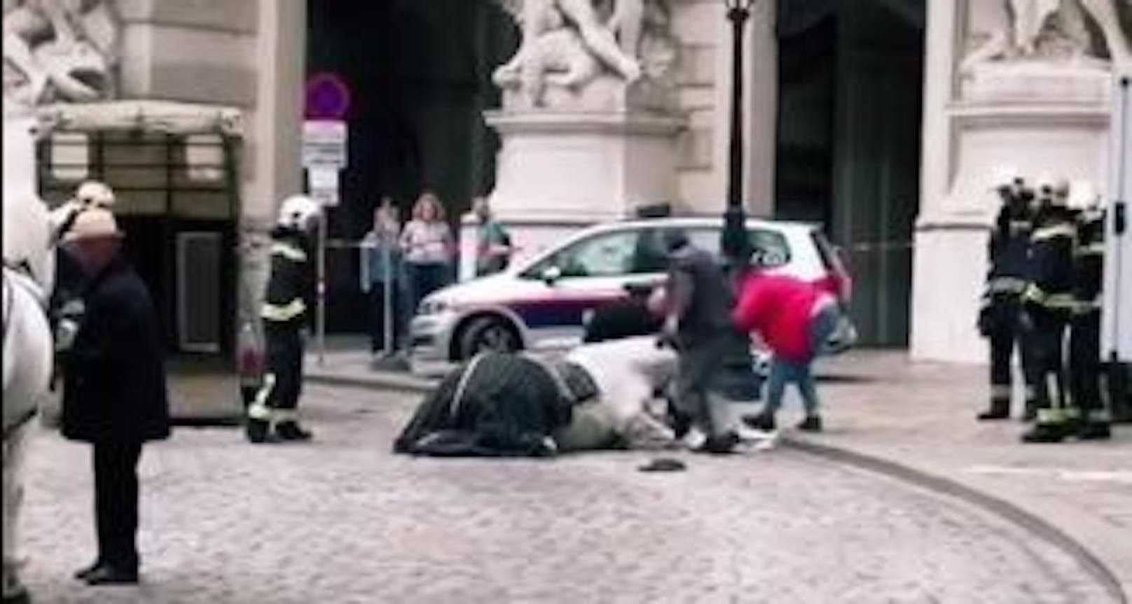 Ein TikTok-Video hält den Moment fest, in dem ein Pferd in Wien kollabiert.