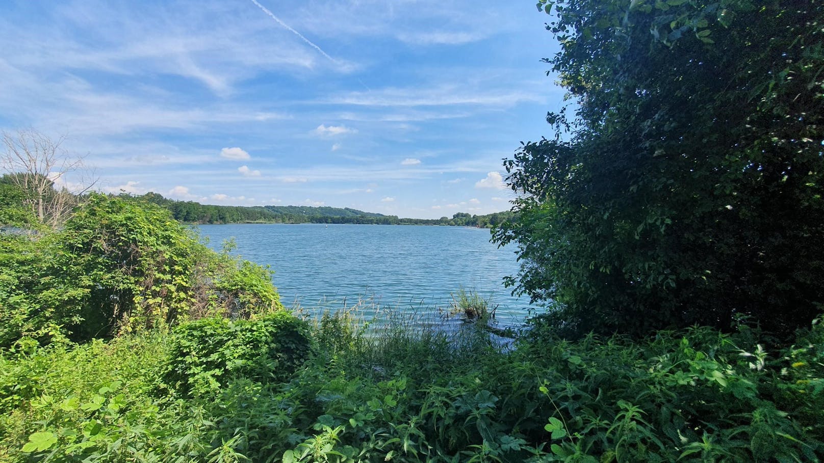 Der tolle Ausblick auf das Naherholungsgebiet Ratzersdorfer See in St. Pölten.