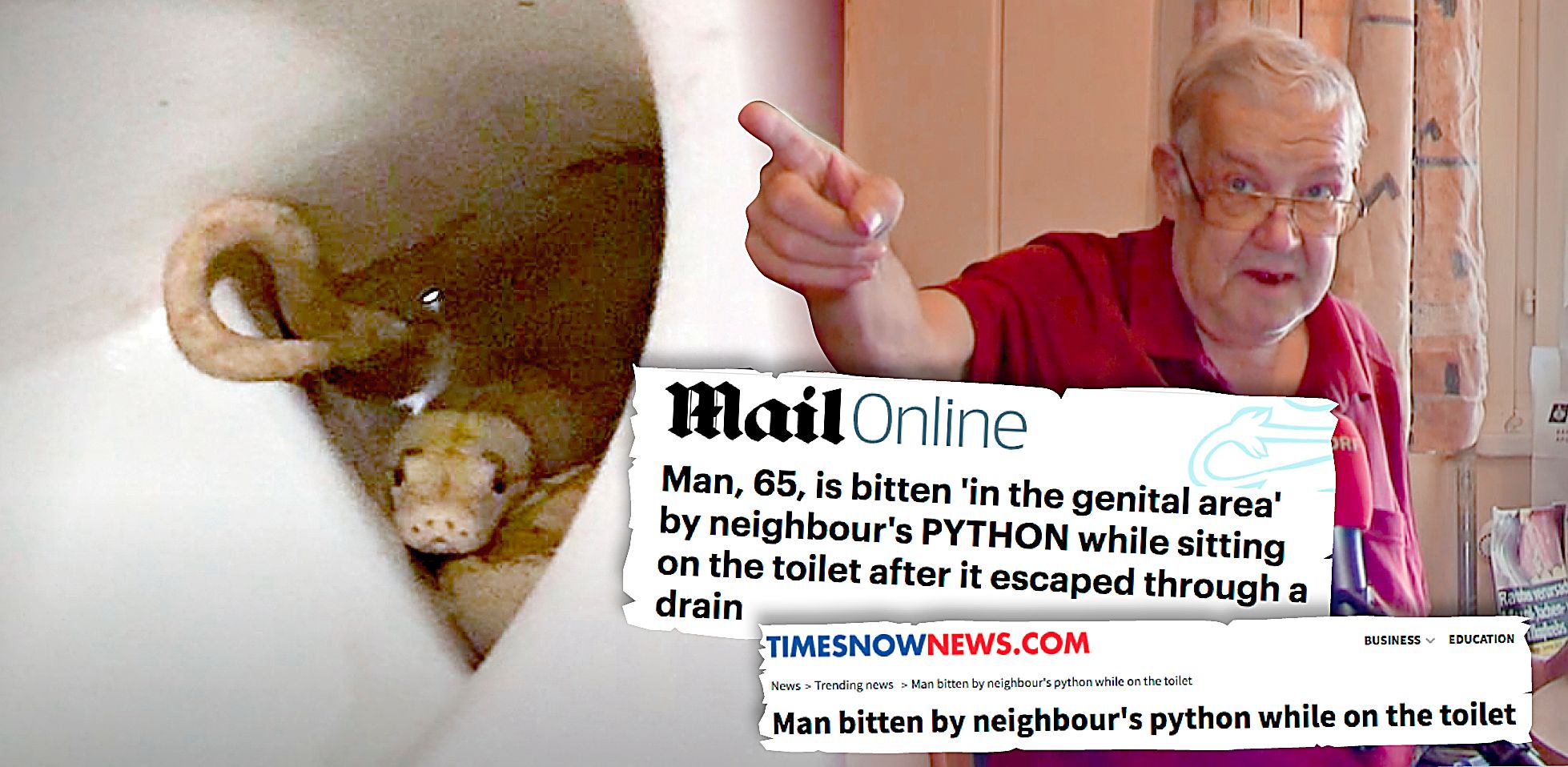 Der Python-Biss auf Grazer WC geht um die Welt.