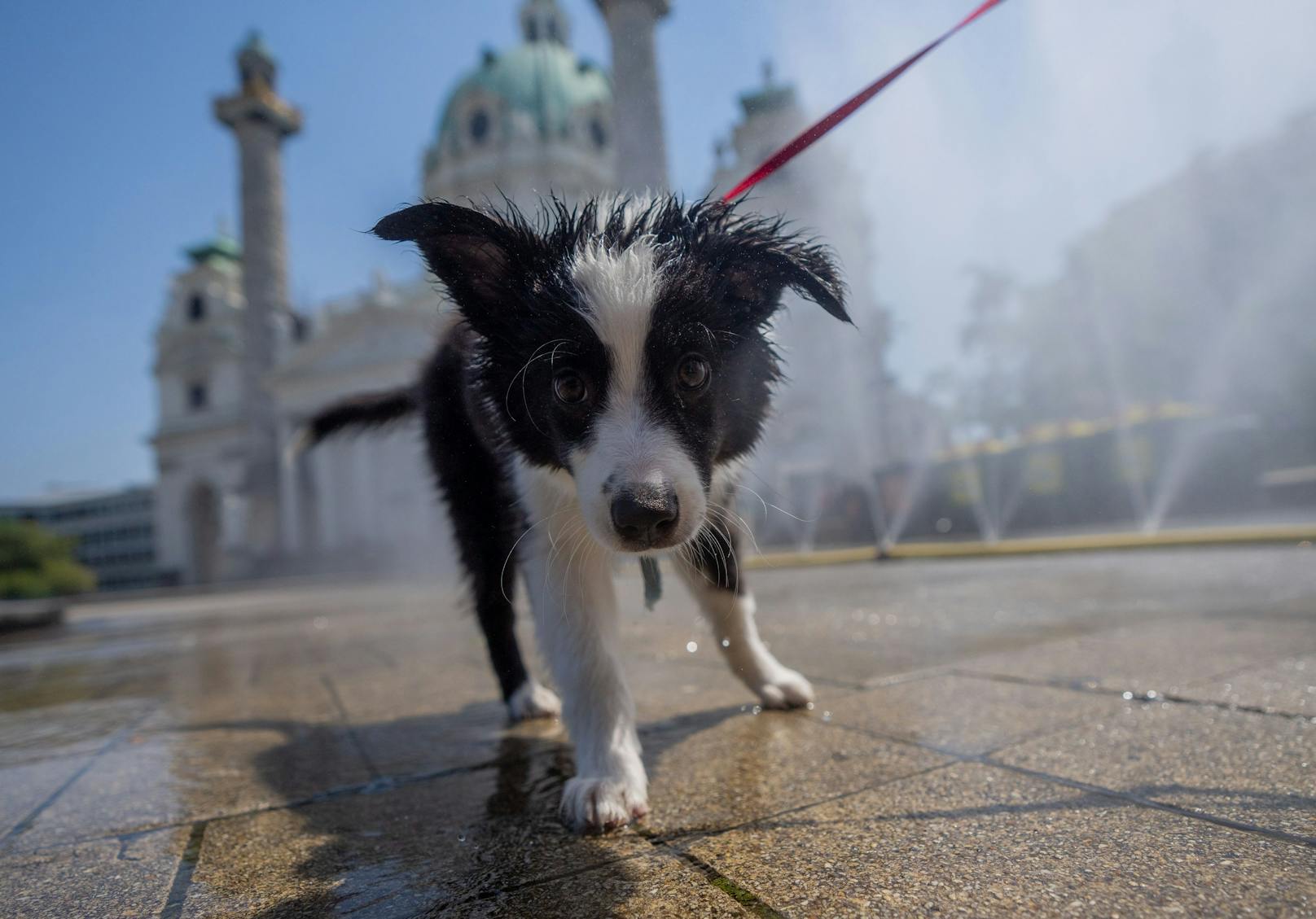 "Hundstage" in Wien! Eine Karte zeigt, wo es in Wien jetzt besonders heiß ist.