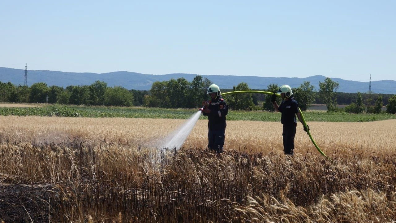 Weitere Waldbrände in NÖ