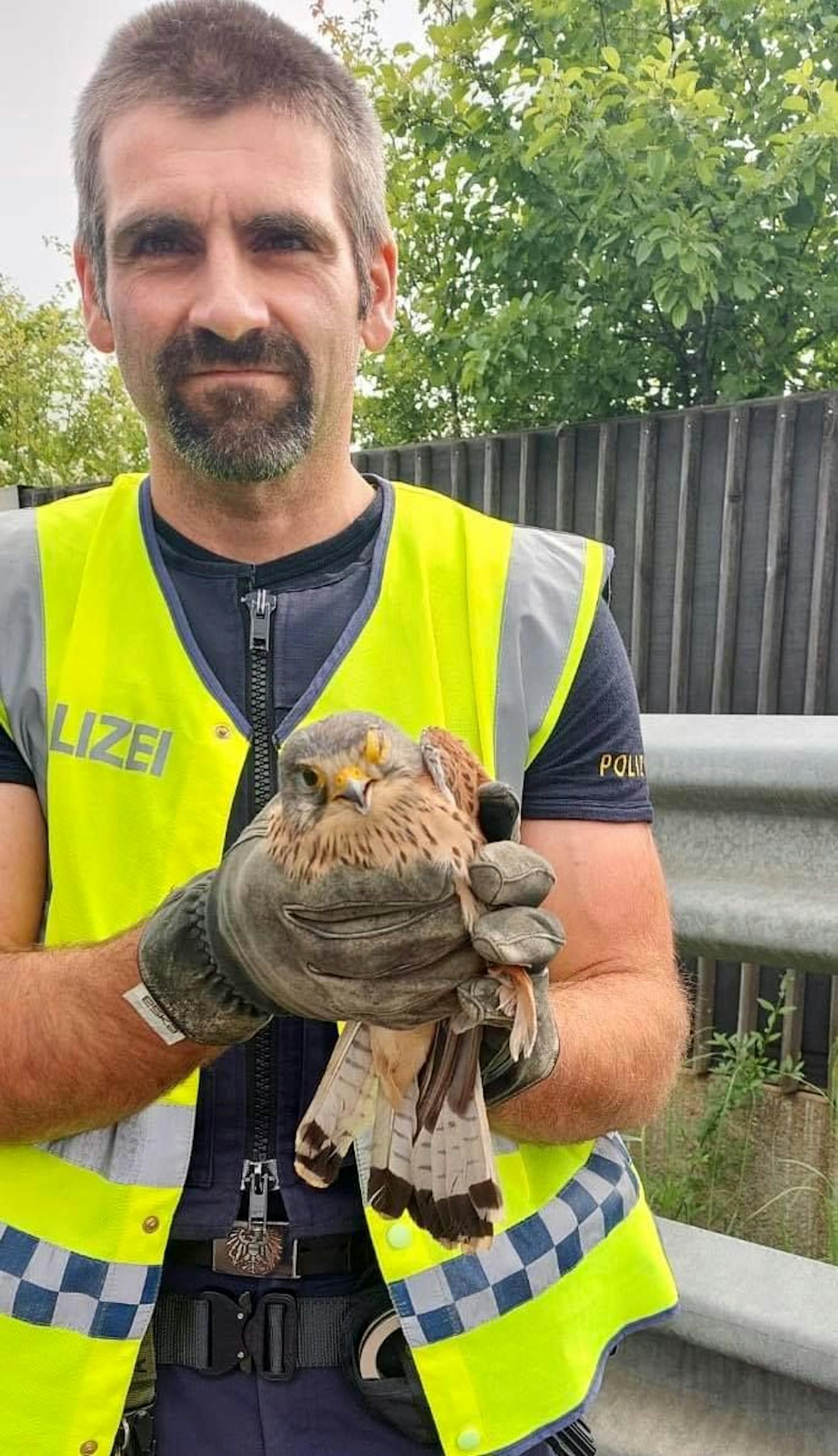 Auf der A7 entdeckte der 42-Jährige einen Falken. Mit der Polizei-Kappe wurde der Vogel eingefangen.