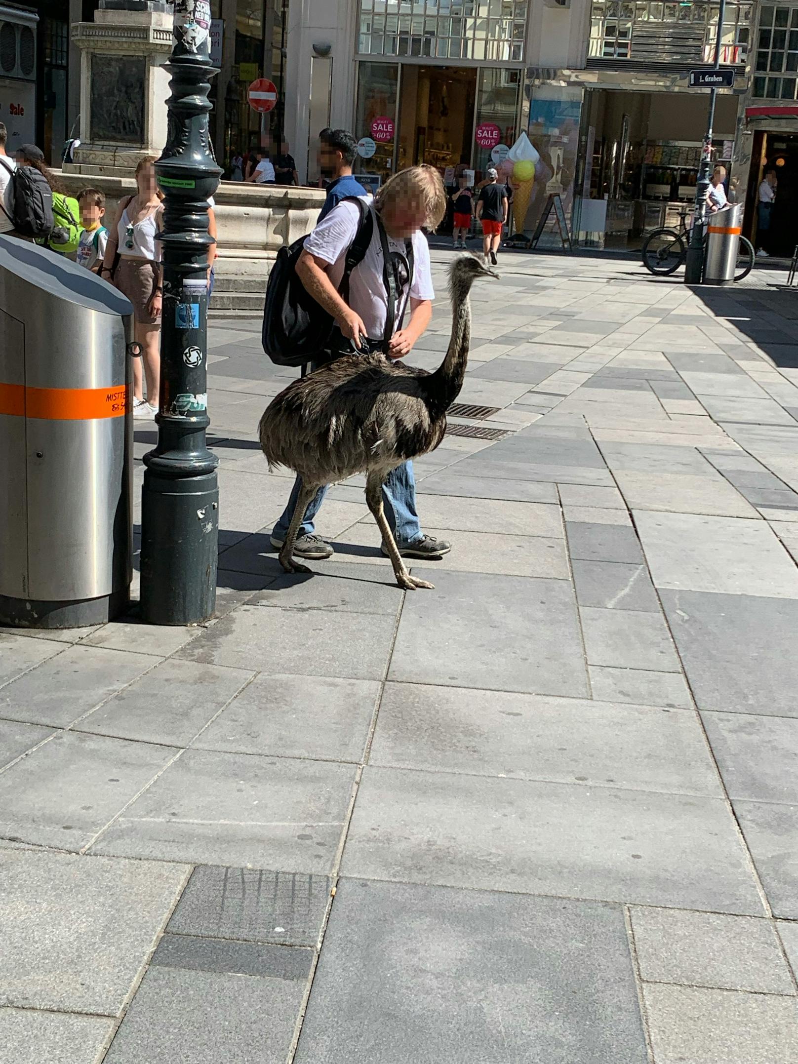 In Wien spazierte ein Mann mit seinem Laufvogel durch die Straßen.