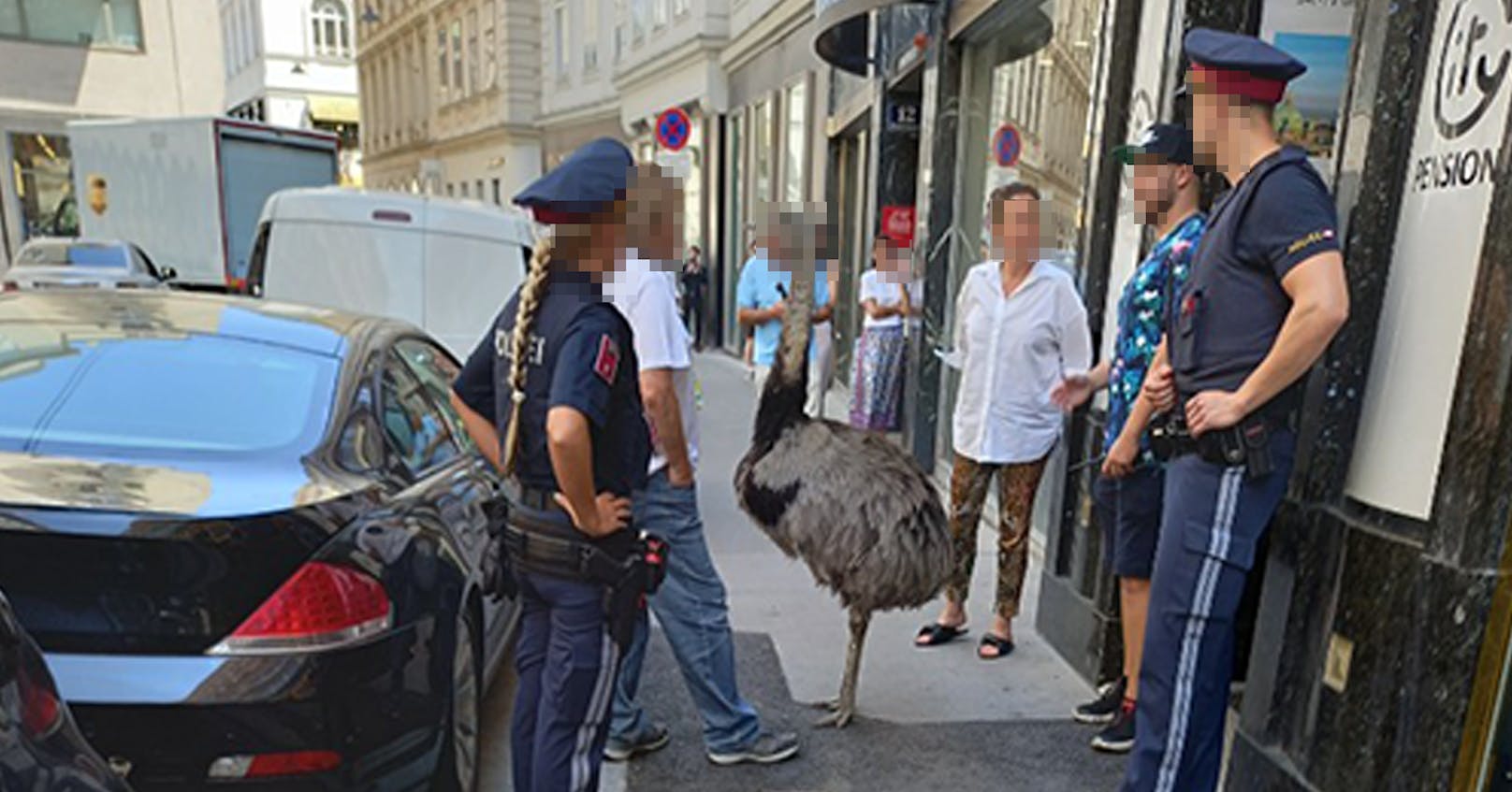 Tierischer Polizeieinsatz in der Wiener City