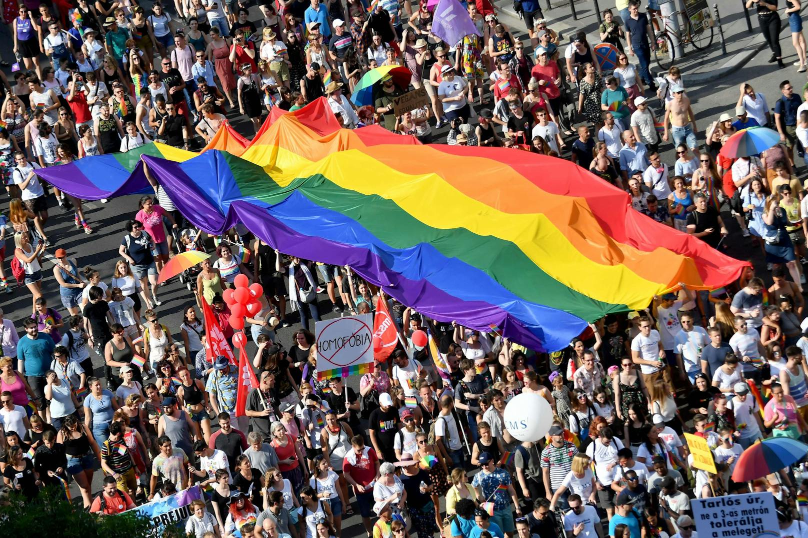 Am Donnerstag (08.07.2021) tritt in Ungarn das umstrittene Gesetz zur Beschränkung der Information über Homo- und Transsexualität für Personen unter 18 Jahren in Kraft. Noch am Dienstag protestierten in der Hauptstadt Budapest mehrere Tausend Menschen dagegen.