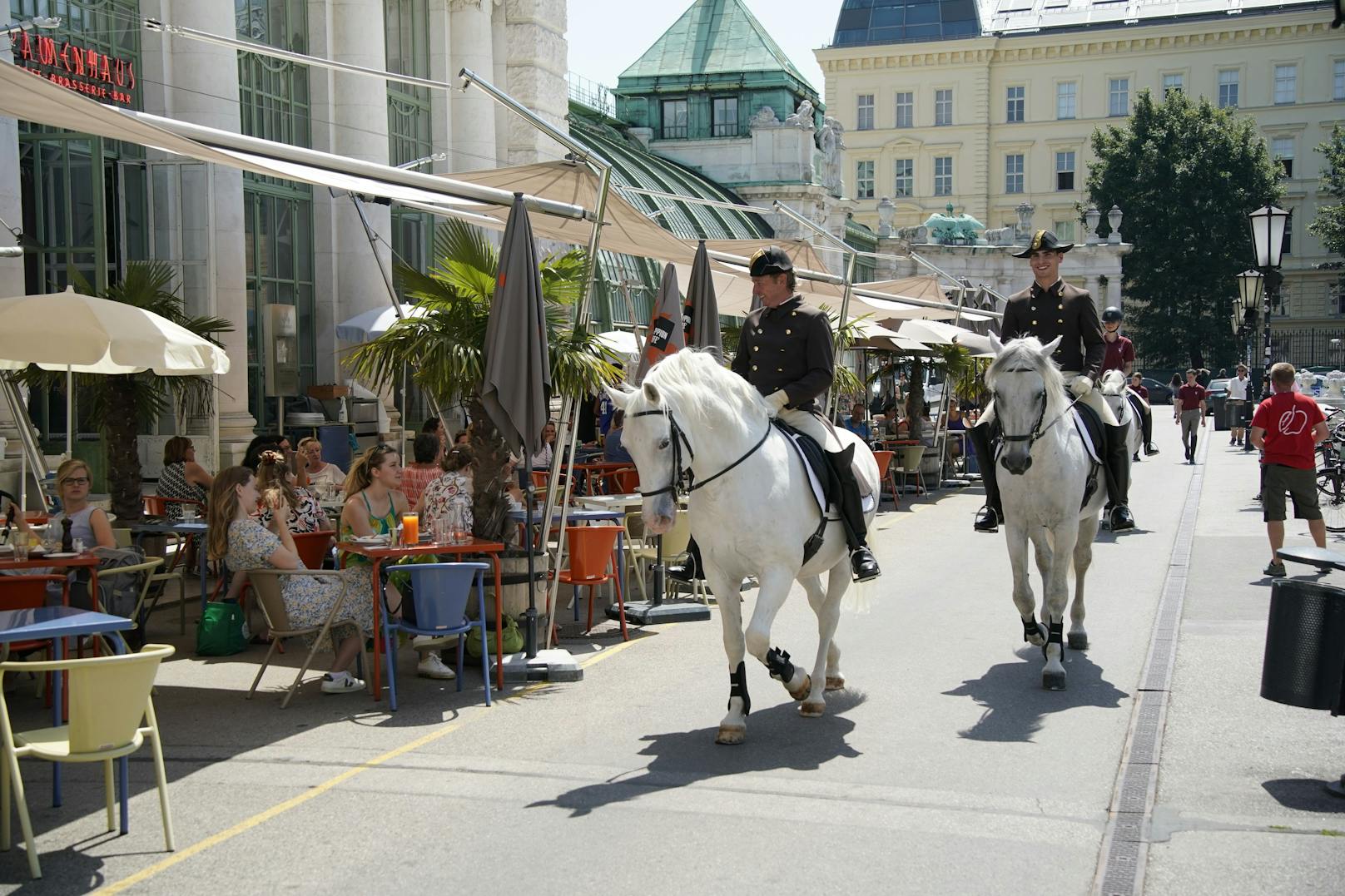 Kommen die Lipizzaner, zücken die Menschen ihre Handys. Der Ritt zur neuen Koppel im Burggarten ist ein kleines Spektakel.&nbsp;