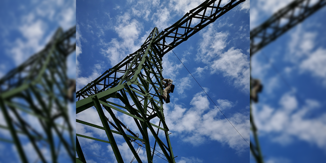 Hoch Spannende Rettung Wiener Krahe Von Mast Befreit Leser Heute At