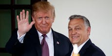 Ungarns Orban bekommt Wahl-Unterstützung von Trump