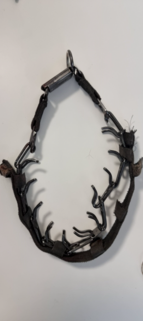 Korallenhalsbänder sind in Österreich verboten.