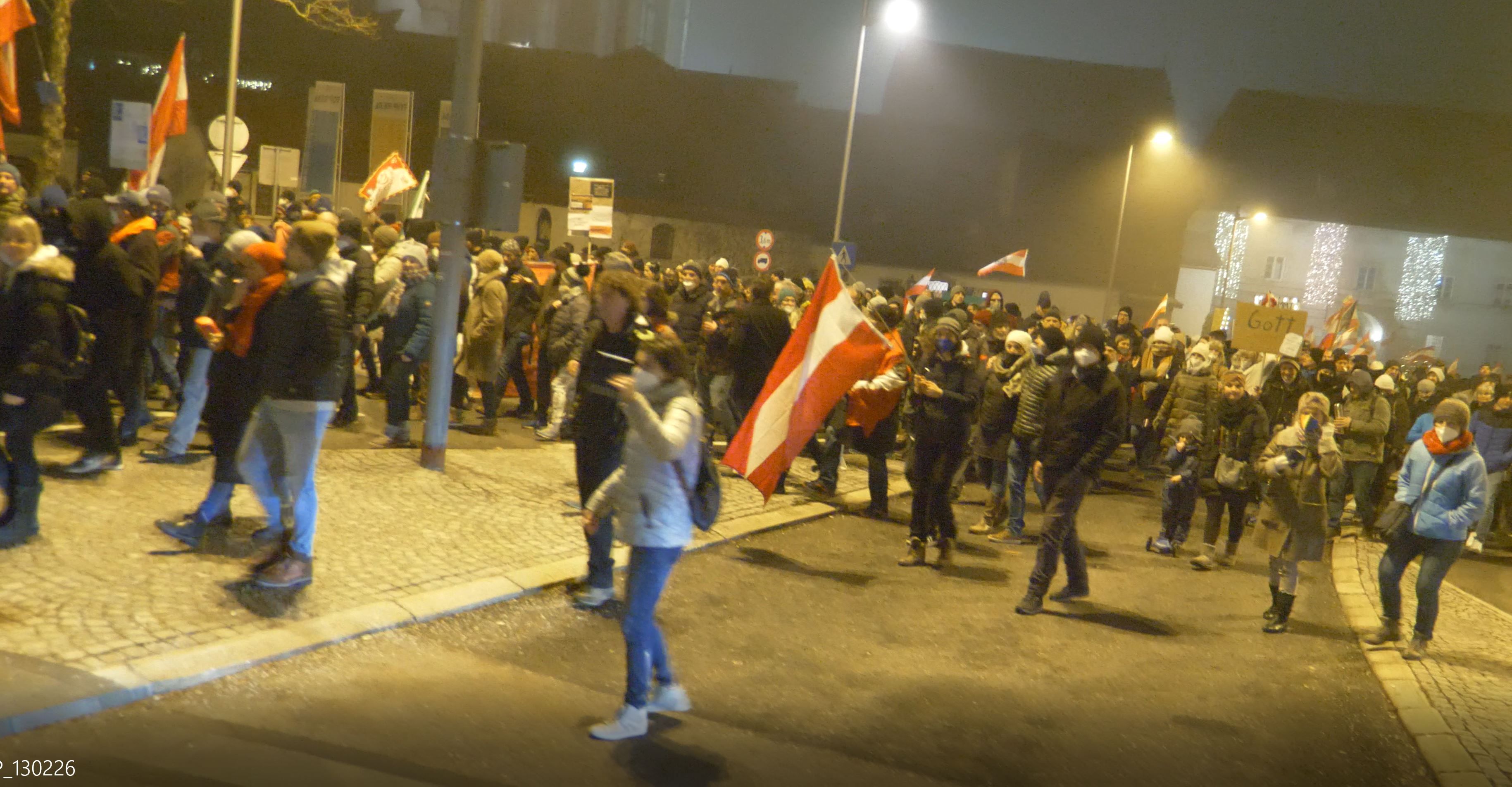 Bei der Demo in Steyr wurden vier Polizisten verletzt.