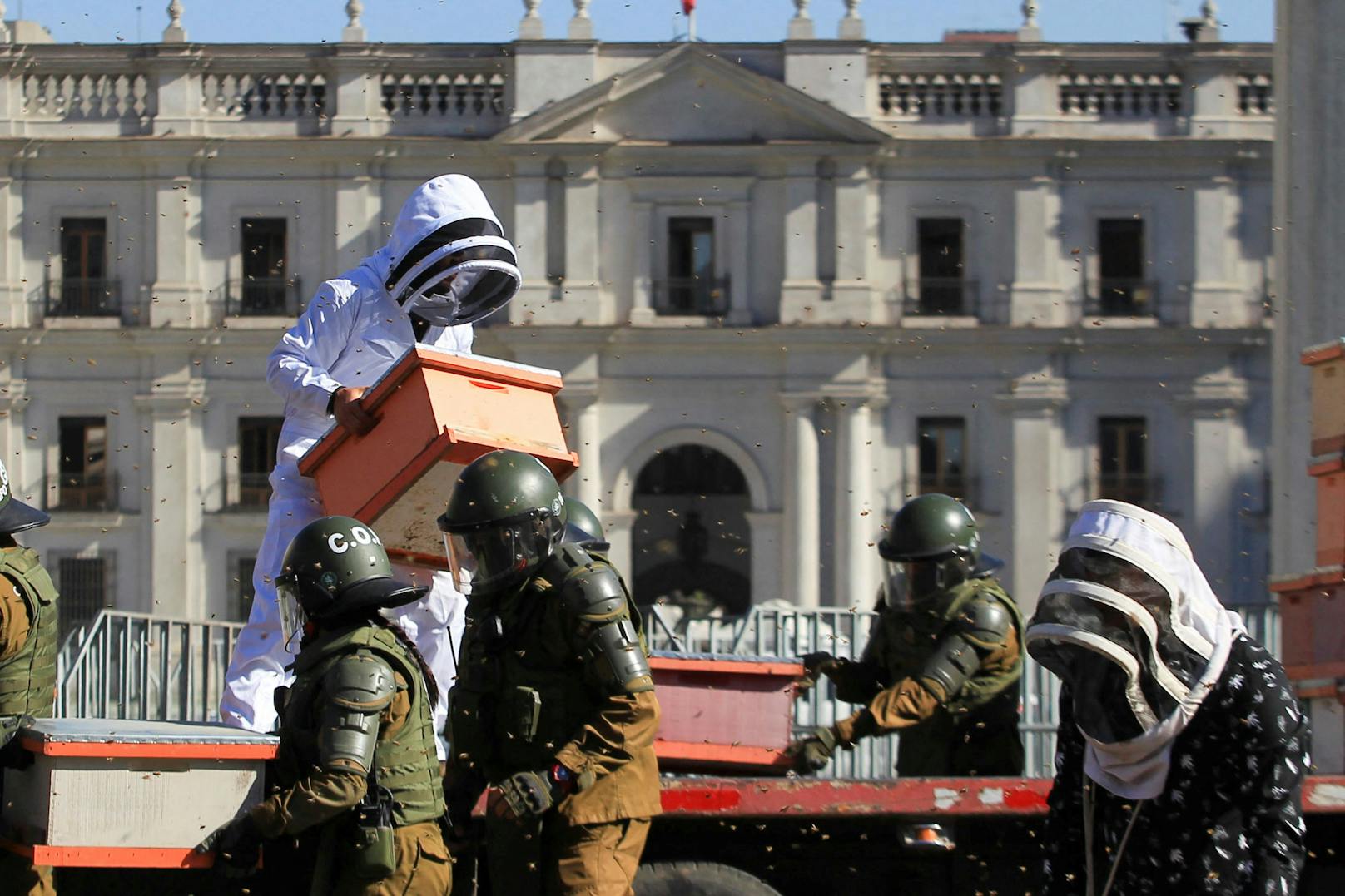 In Chile gingen Imker als Demonstranten auf die Straße. 