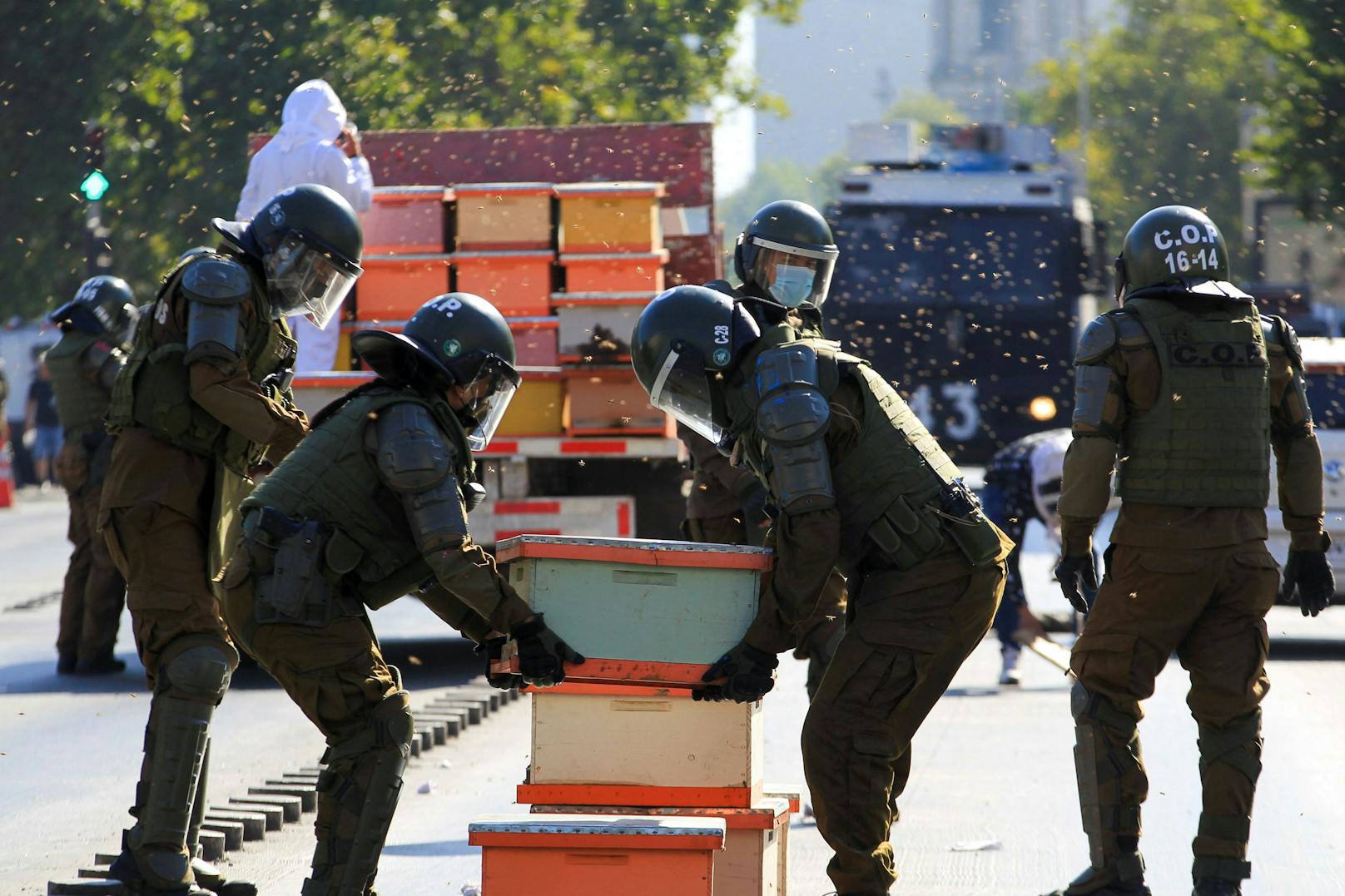 Polizisten bei Imkerdemo in Chile von Bienen gestochen