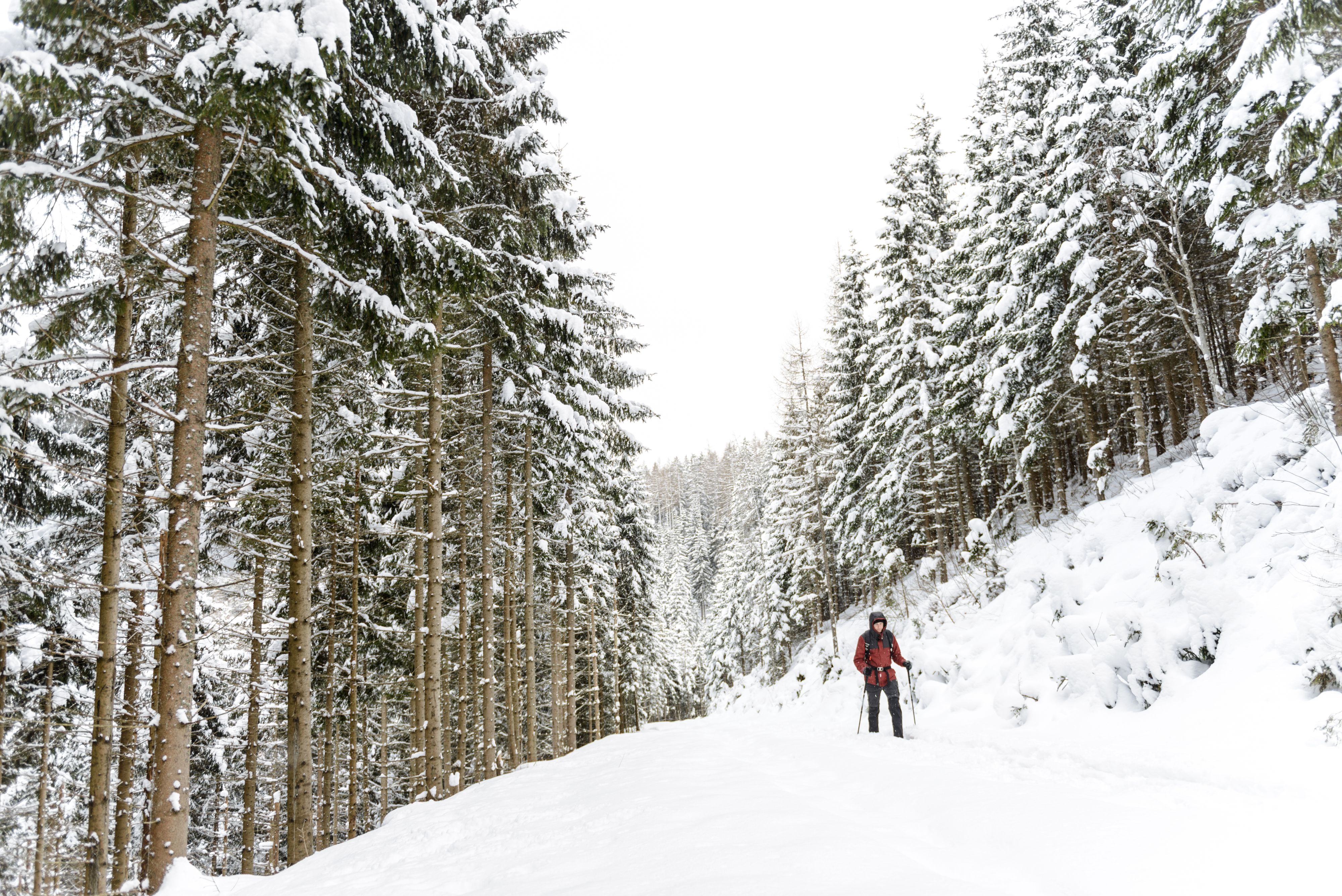 Der Schneeschuh-Wanderer machte eine schockierende Entdeckung. Symbolbild. 