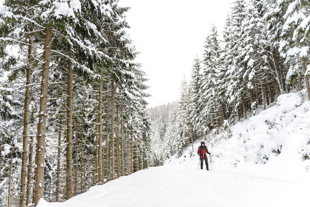 Heute.at - Wanderer entdeckt Menschen-Knochen in Bachbett