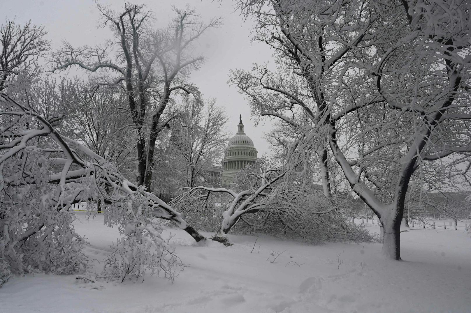 Im Osten der USA hat ein heftiger Schneesturm gewütet.