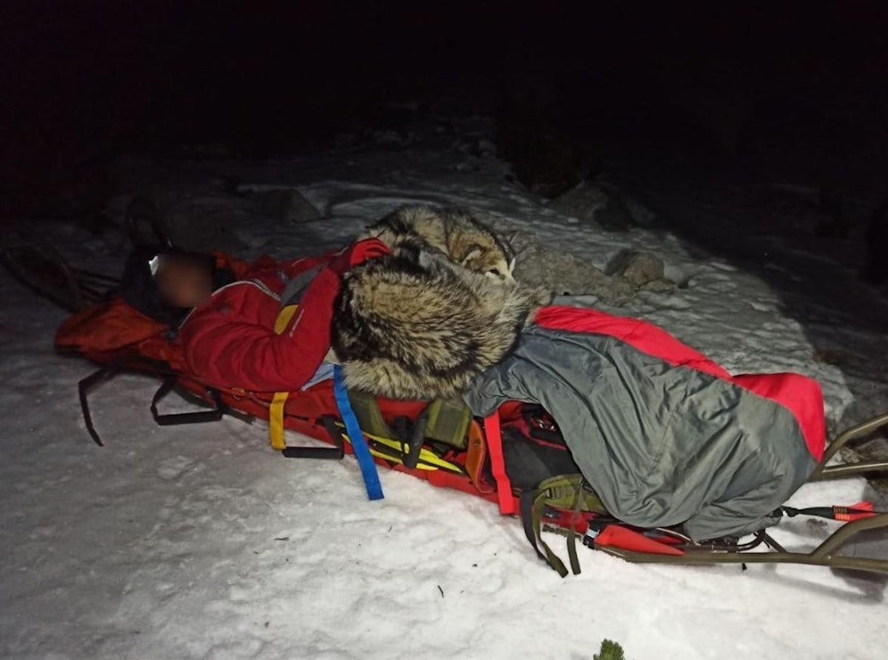 Über 13 Stunden harrte der Vierbeiner bei dem Verunfallten aus