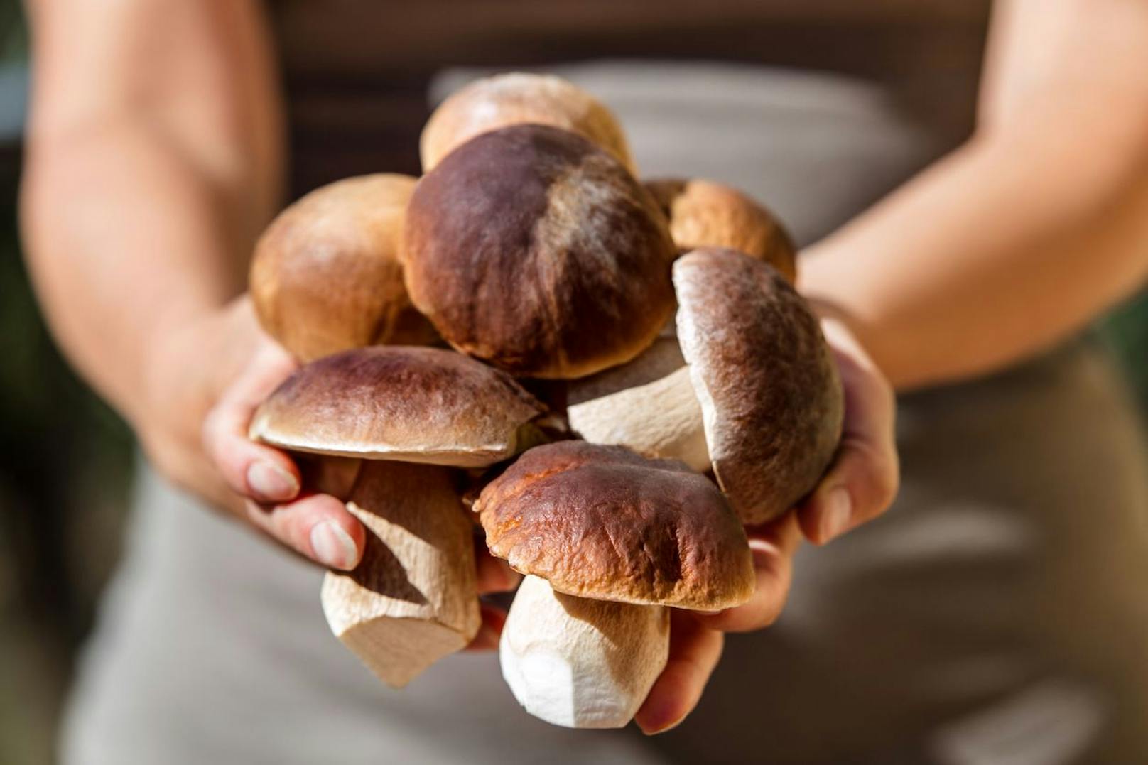 Für deinen täglichen Vitamin-D-Gehalt empfiehlt es sich auch Steinpilze und Champignons zu essen. Diese erweisen sich auch als tolle Beilage zu den ebenerwähnten Fischgerichten.