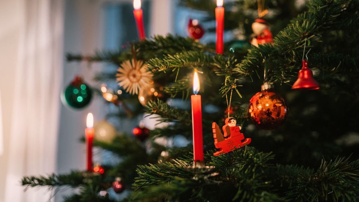 Heute.at - Christbaum nadelt? Das sind die häufigsten Fehler