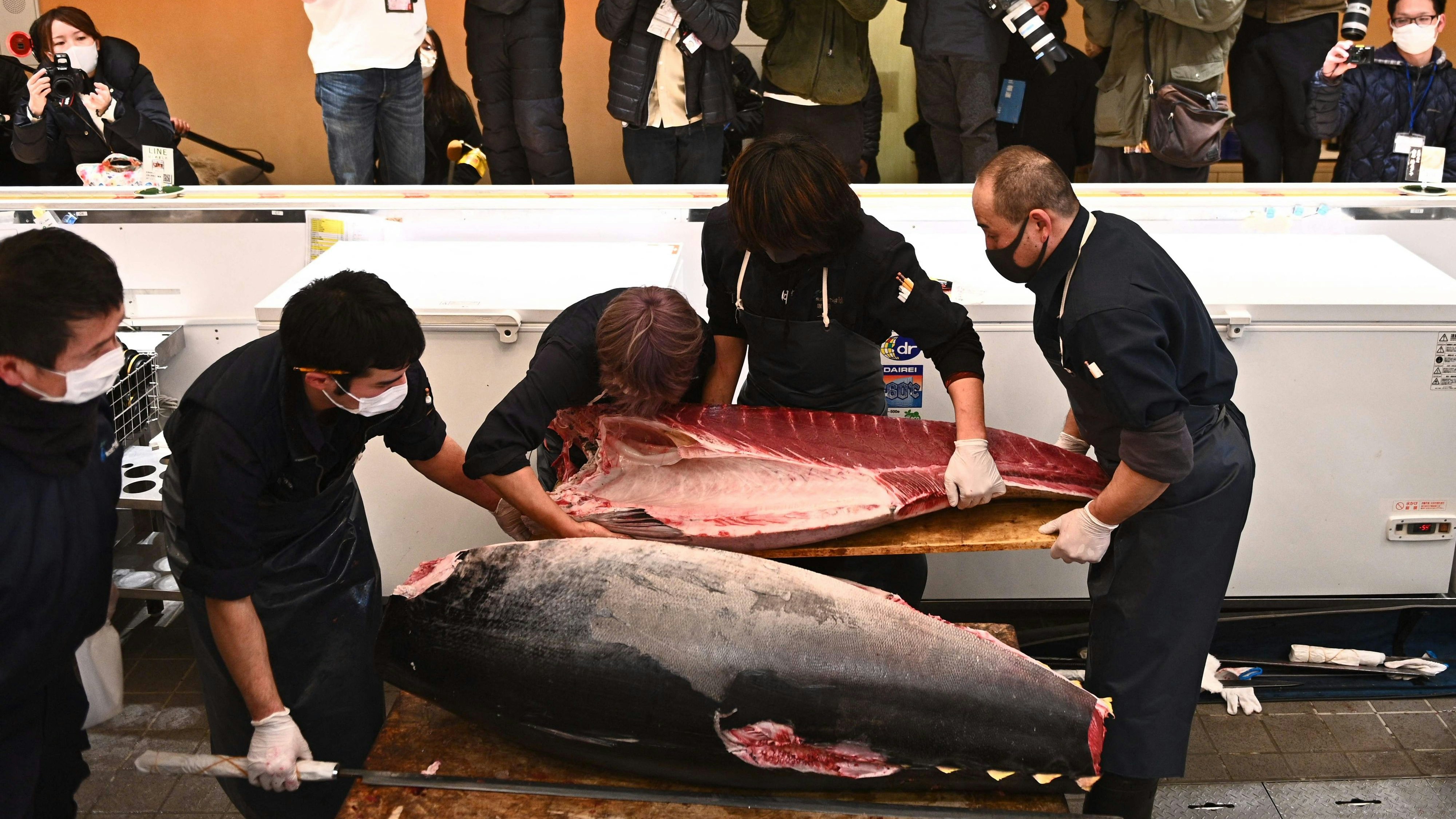 (Symbolbild) Bei der ersten Auktion des Jahres in Tokio wurde ein Blauflossen-Thunfisch um 128.000 Euro versteigert. 
