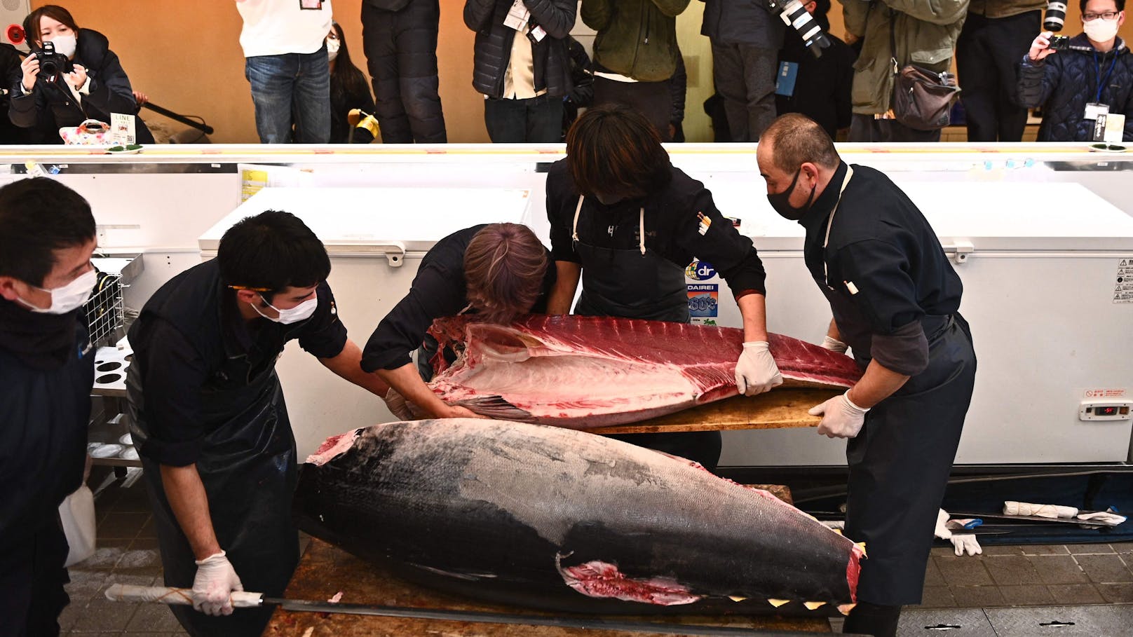 (Symbolbild) Bei der ersten Auktion des Jahres in Tokio wurde ein Blauflossen-Thunfisch um 128.000 Euro versteigert. 