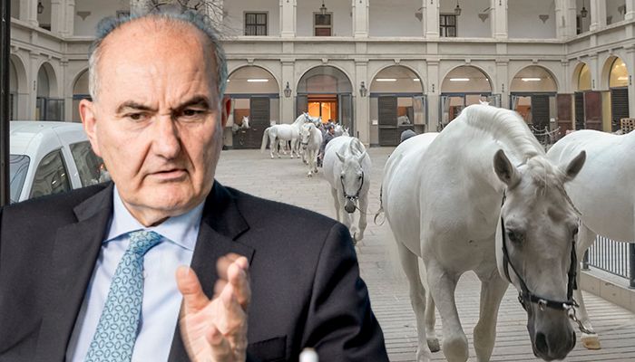 Aufsichtsratschef Marihart stellt sein Amt zur Verfügung.