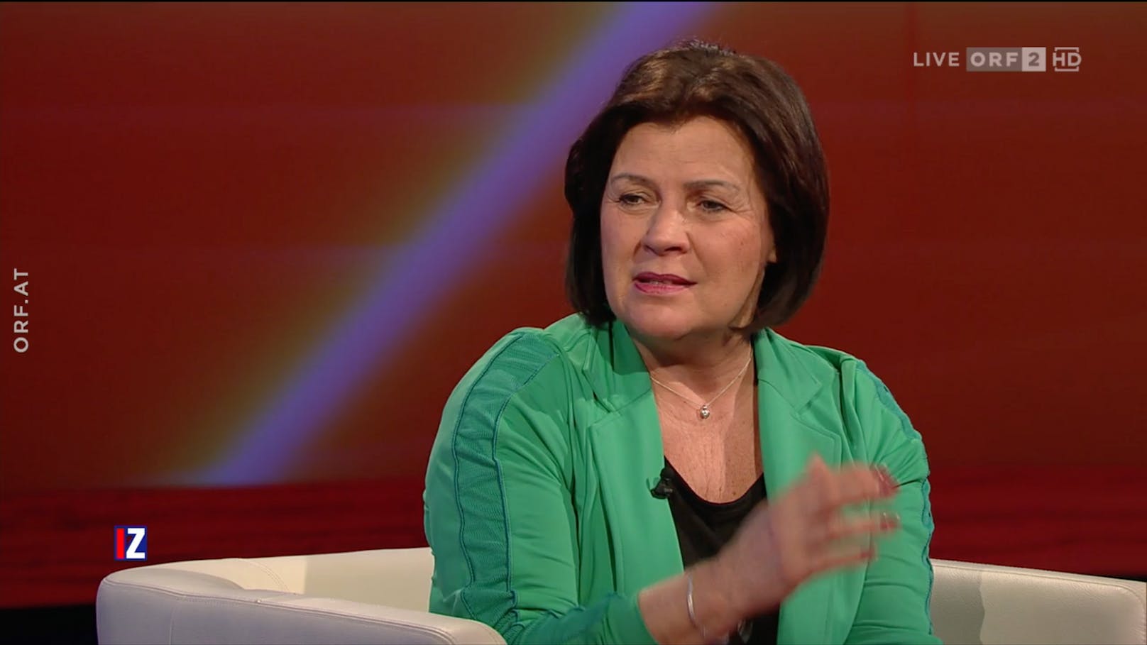 AK-Präsidentin Renate Anderl im ORF