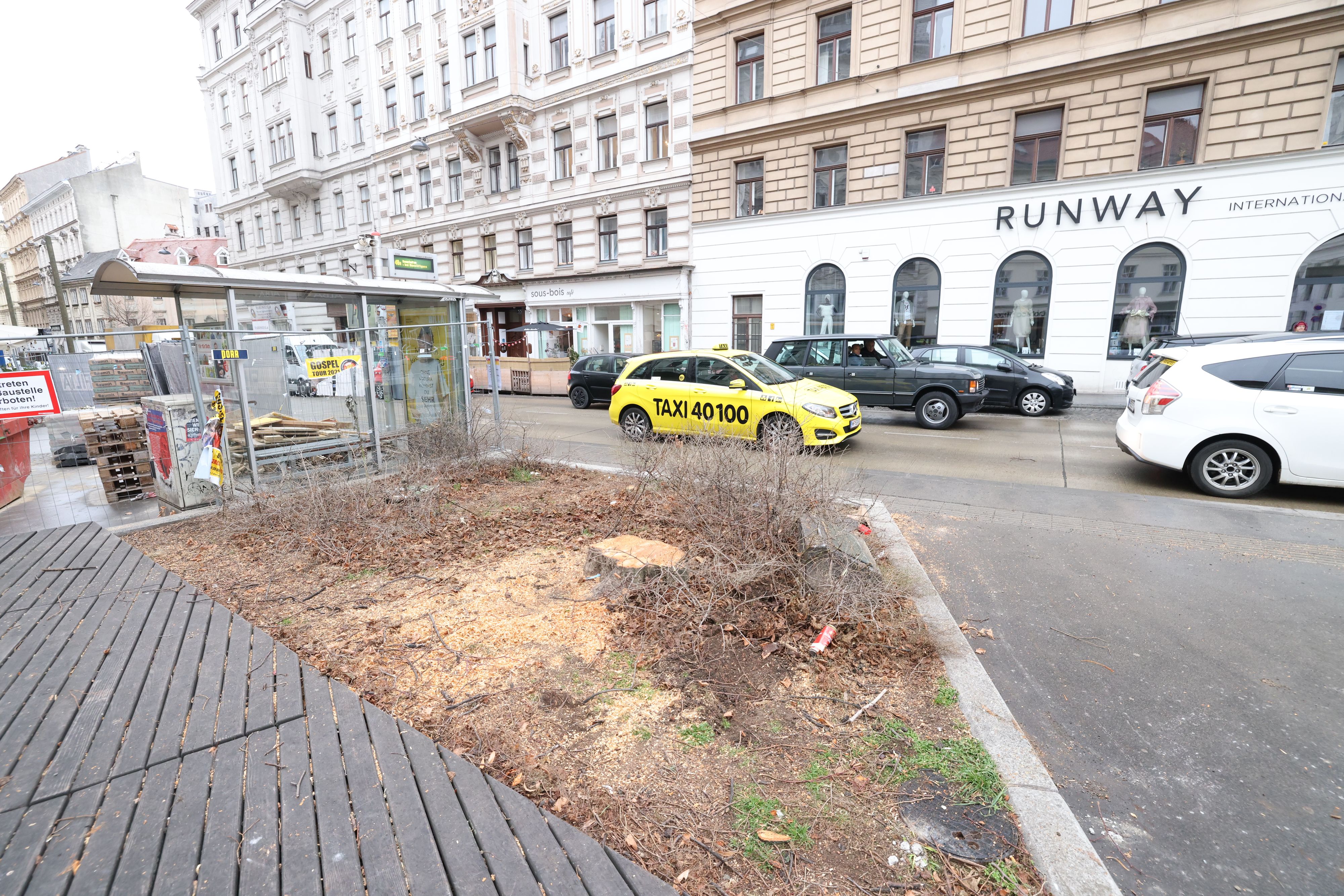 Am Montag wurden am Augustinplatz in Wien-Neubau die Schubertlinde und weitere Bäume gefällt. Hier soll ein Notausgang für die verlängerte U2 entstehen.