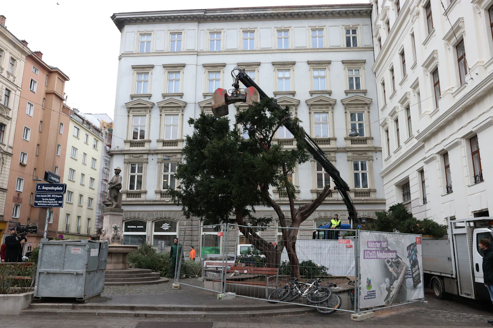 Die Schubertlinde wurde am Montag gefällt – unter heftigen Protesten der ÖVP Neubau. Jetzt meldet sich Bezirksvorsteher Reiter dazu zu Wort.