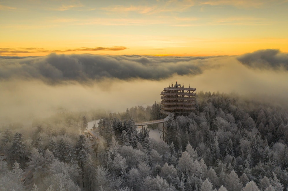 Der Aussichtsturm in Krynica Zdrój befindet sich in den Wäldern des Jaworzyna-Krynicka-Gebirges.