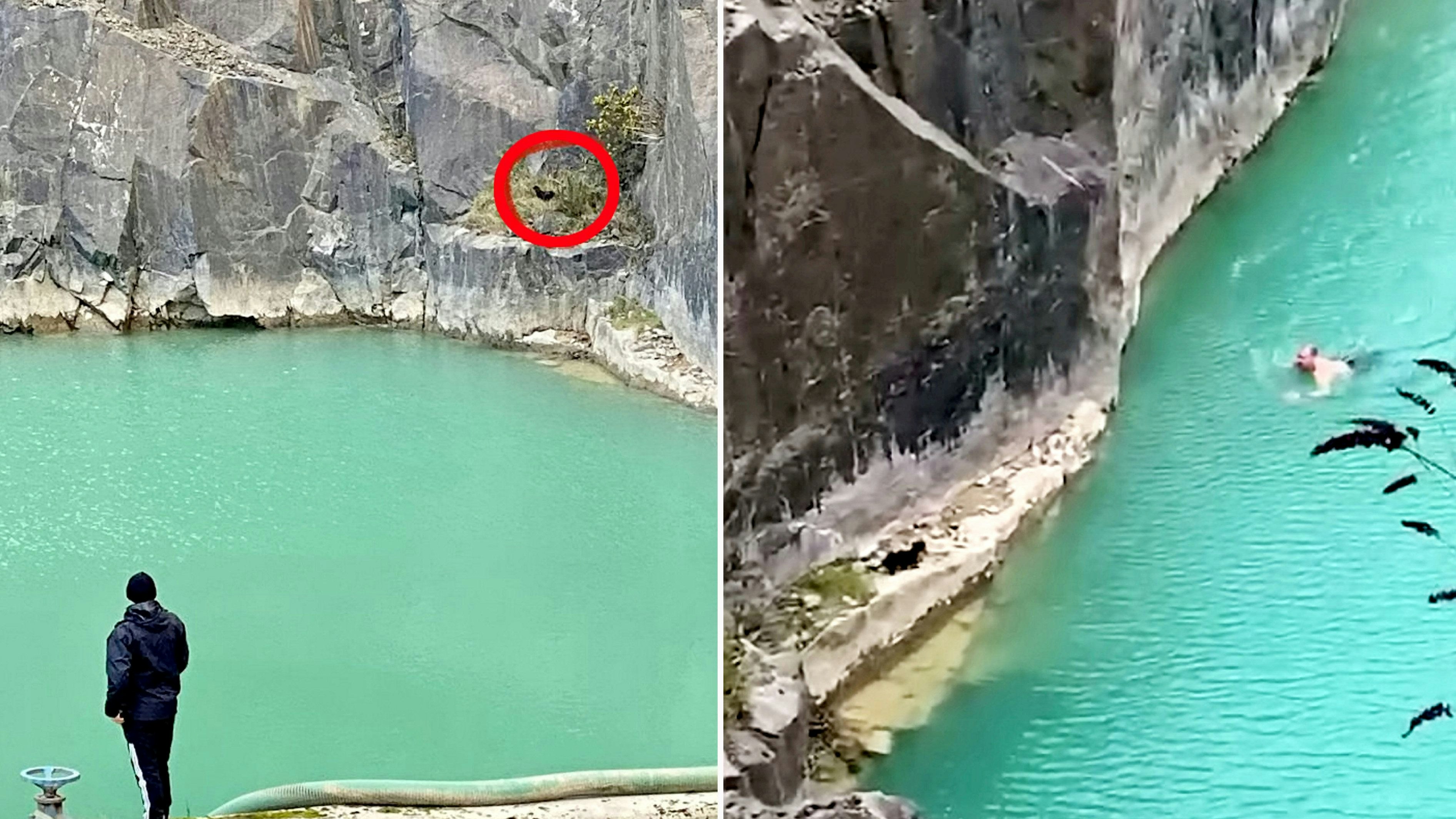 Ein kleiner Dackel stürzte 10 Meter in die Tiefe. 