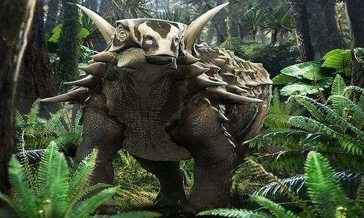 "Struthiosaurus austriacus"