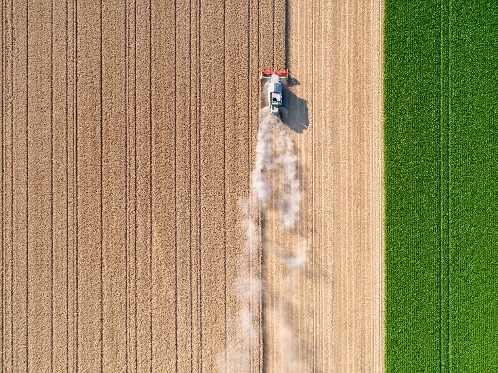 Harvesting a wheat field, dust clouds - aerial view