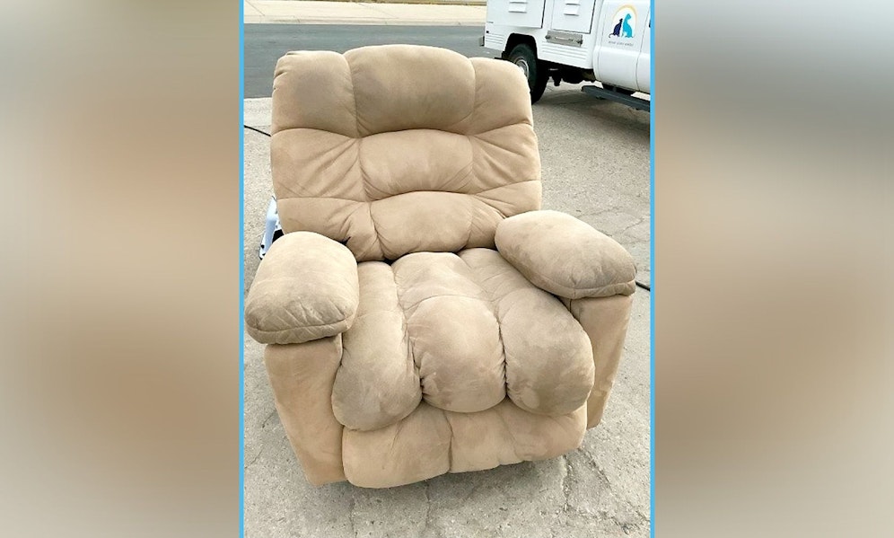 Nanu? Wieso miaut denn der Sessel plötzlich? 