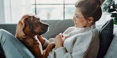 Umfrage bestätigt: Hund kommt noch vor dem Partner