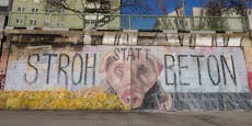 Riesengraffiti am Donaukanal protestiert gegen Tierleid