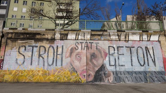 Unbekannte Künstler sprayten ein aussagekräftiges Graffiti auf 54 Quadratmeter an die Mauer des Donaukanals im 2. Wiener Gemeindebezirk. 