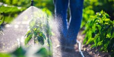 "Pestizidatlas 2022" liefert Daten und Fakten zum Thema