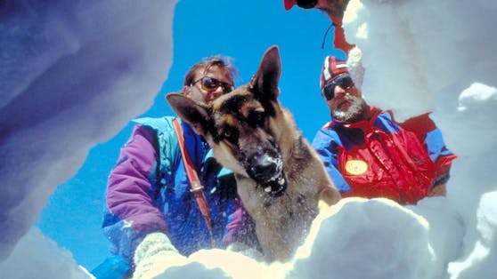 Mehr als 20 Minuten war ein Hund unter den Schneemassen begraben worden.