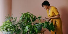 4 Trend-Pflanzen, die dich zum Plantfluencer machen