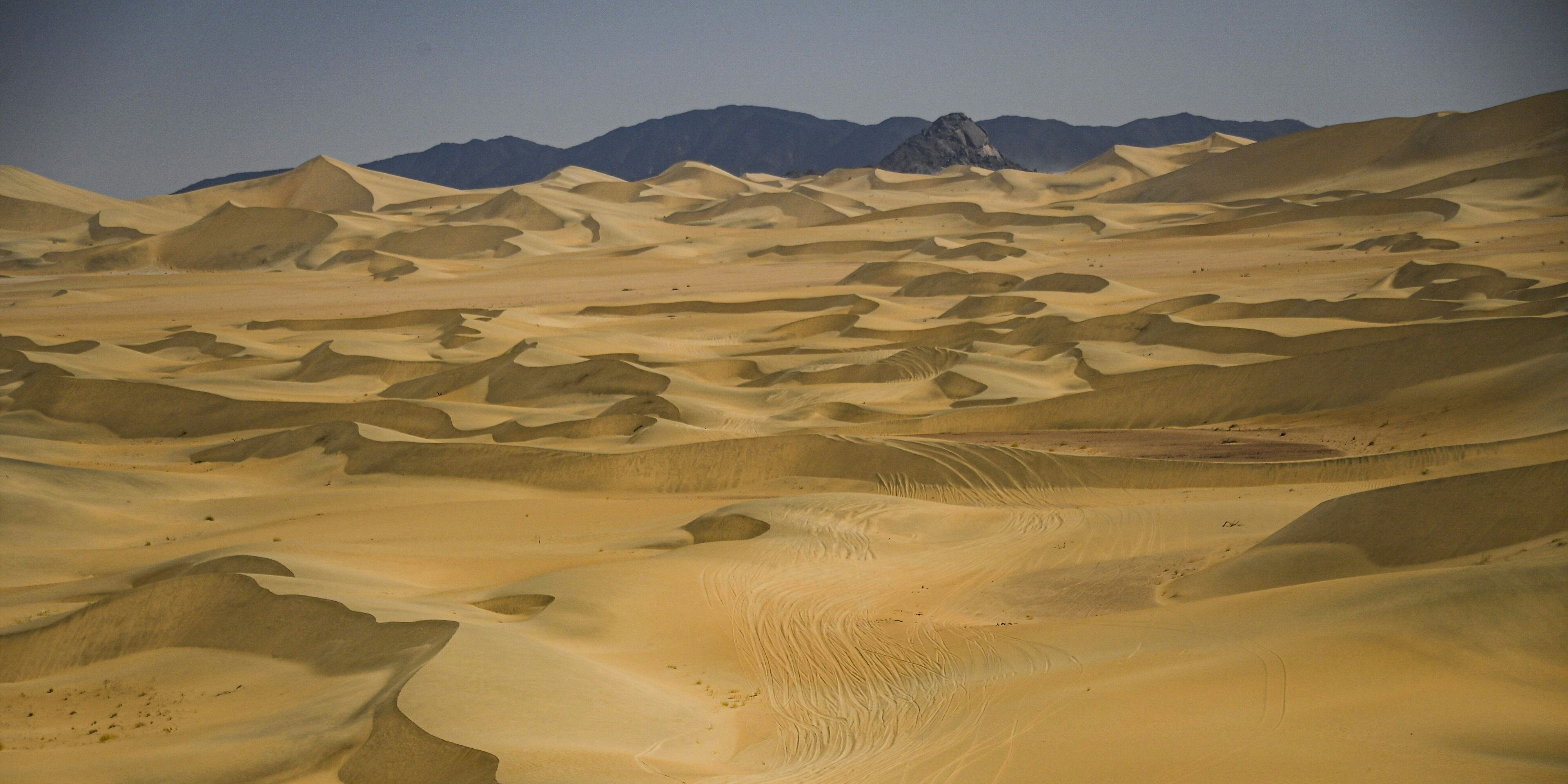 Auf der letzten Etappe der Rallye Dakar ist es zu einem tragischen Unfall gekommen. 