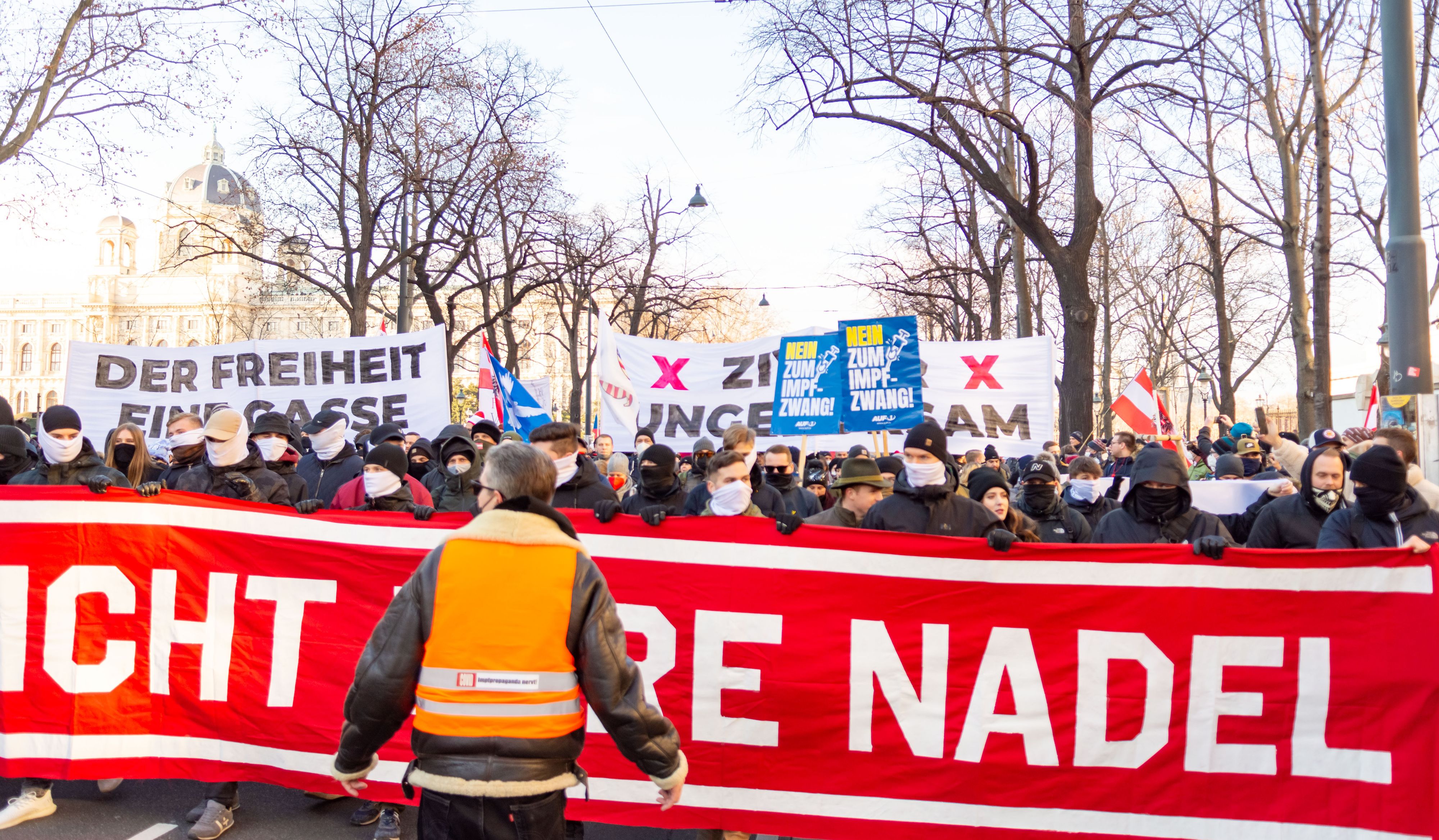 Besonders auf Demonstrationen gegen die Impfpflicht werden Verschwörungstheorien verbreitet.