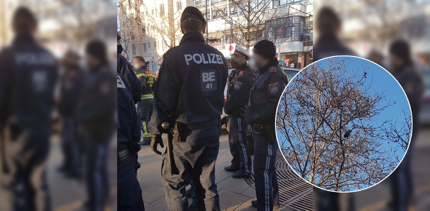 Rettungsaktion in Wien-Floridsdorf.
