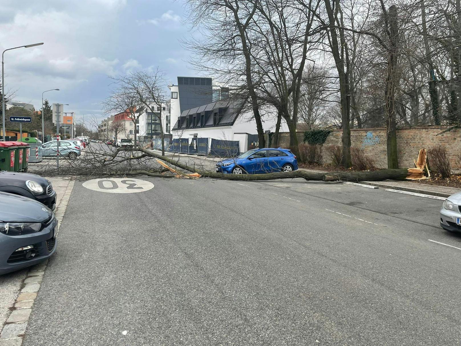 In der Hoffingergasse in Wien-Meilding fiel ein Baum durch den Sturm um. 